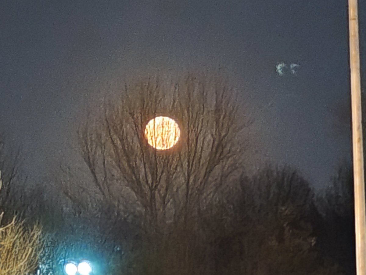 今天的月亮也很棒哦，吃来看看吧