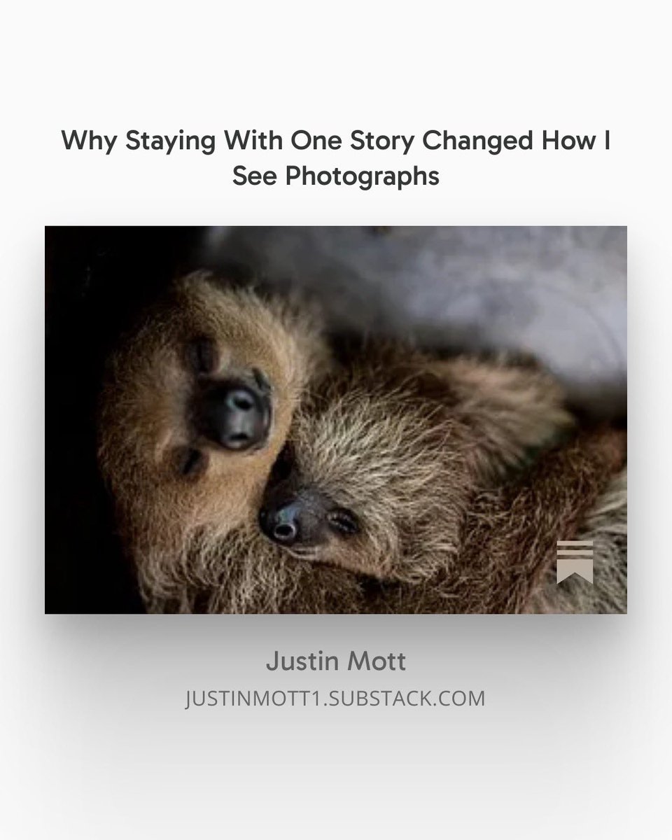 Justin Mott tweet media