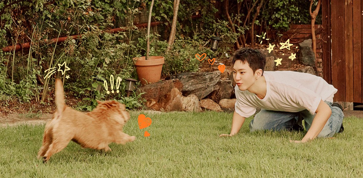 このホシラテ愛おしすぎる