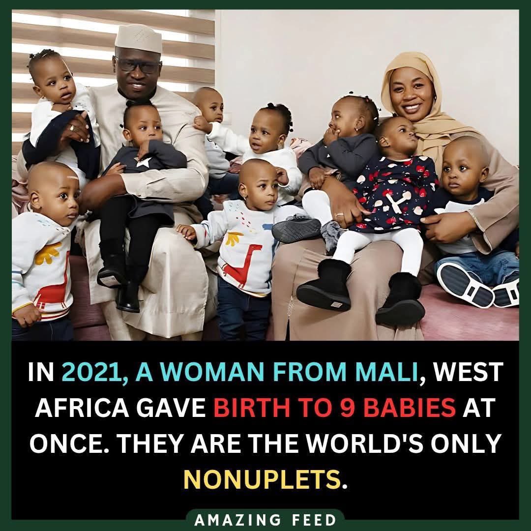 Joe__Bassey's tweet image. African people are so fertile. That’s why the continent has the fastest-growing population on earth.