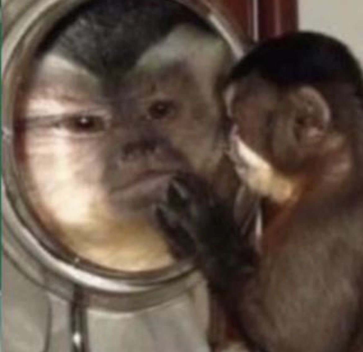 ervii's tweet image. dormi nada