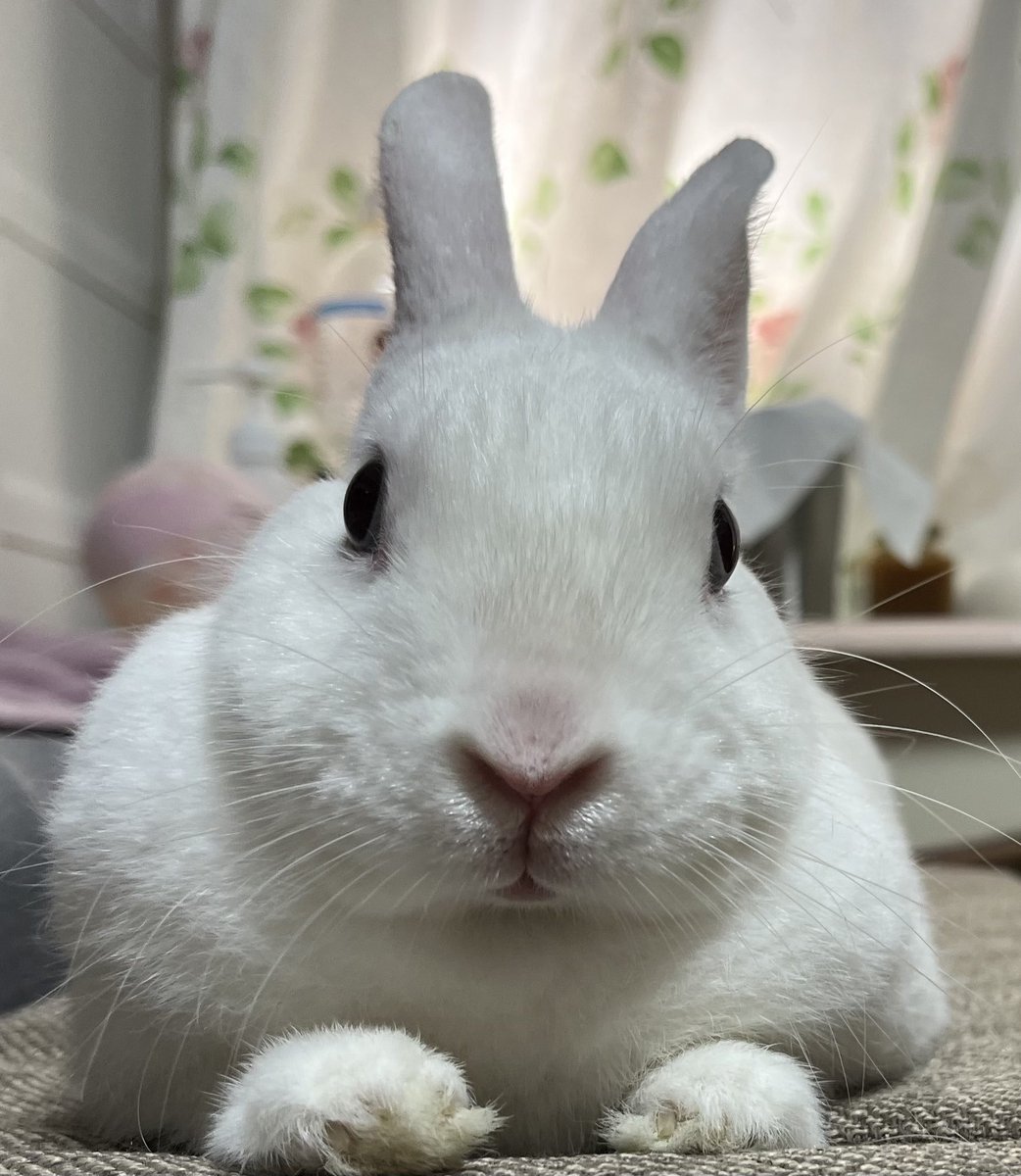 わがままボディ