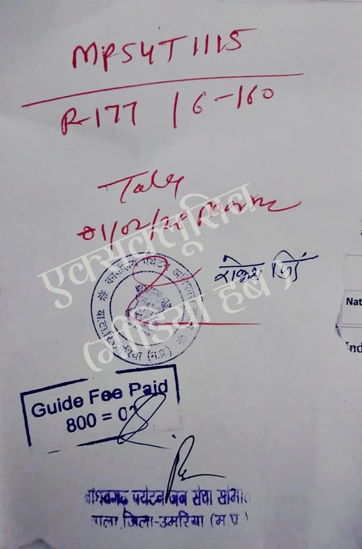 pariharji01's tweet photo. EXCLUSIVE: बांधवगढ़ महाखुलासा : कोरे कागज में मोहर लगा चल रही बाघ दिखाने की दुकान!
'ऑनलाइन सिस्टम' को बाईपास कर 'कोरे कागज' में VIP सफारी। स्टाफ -"साहब के ऑफिस से आती है पर्ची।" सालों से चल रहे इस खेल का हमने किया पर्दाफाश।
#BandhavgarhScam #SaveTiger #scame
#mptigers @PMOIndia https://t.co/ZWB8yxeJy9