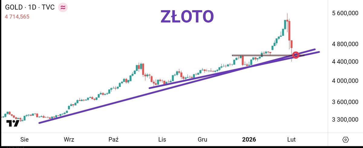 Tavex Research tweet media