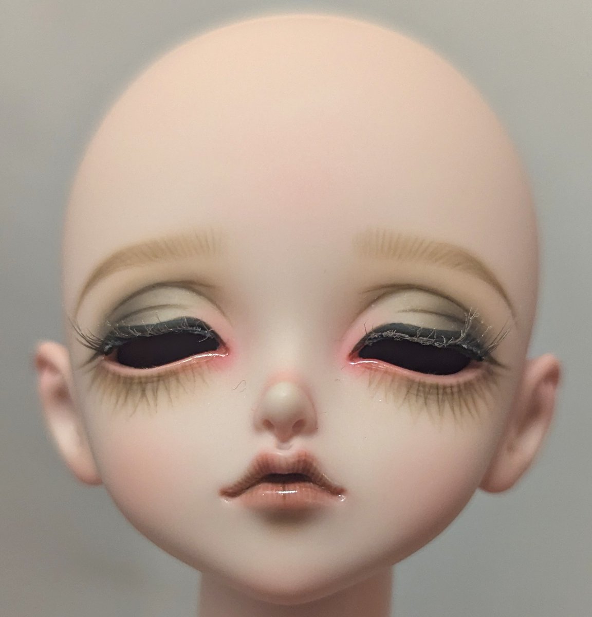 コンプレックス（秋葉原）5F】 Peak's Woods FOB Romantic Mori Moth