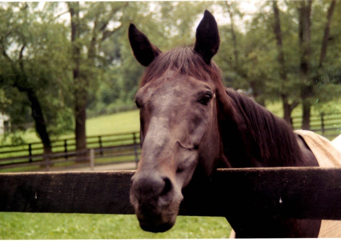 ᭙ꪖꪀꪀꪖ᥇ꫀ ꫝꫀ᥅ꪮ꠸ꪀꫀ tweet media