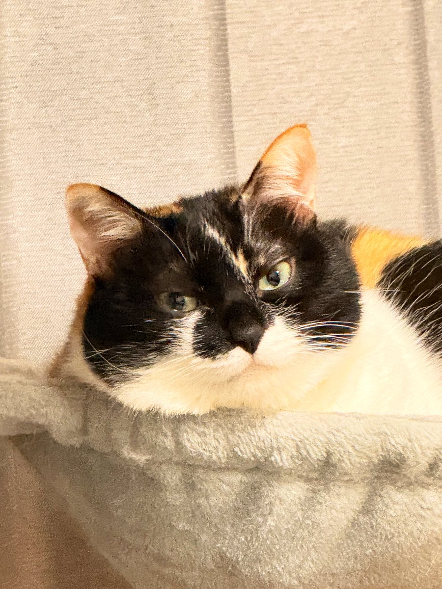 雷十太先生 (@asjSvnCZl18wKXM) / Posts / X