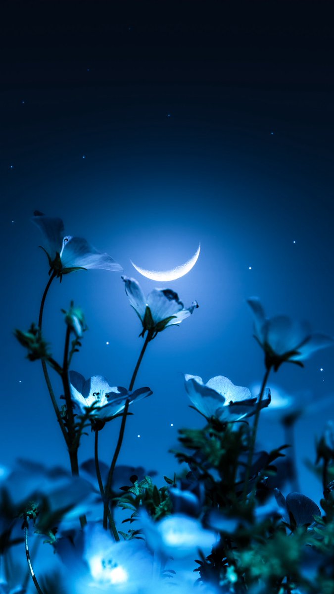 静かな夜.