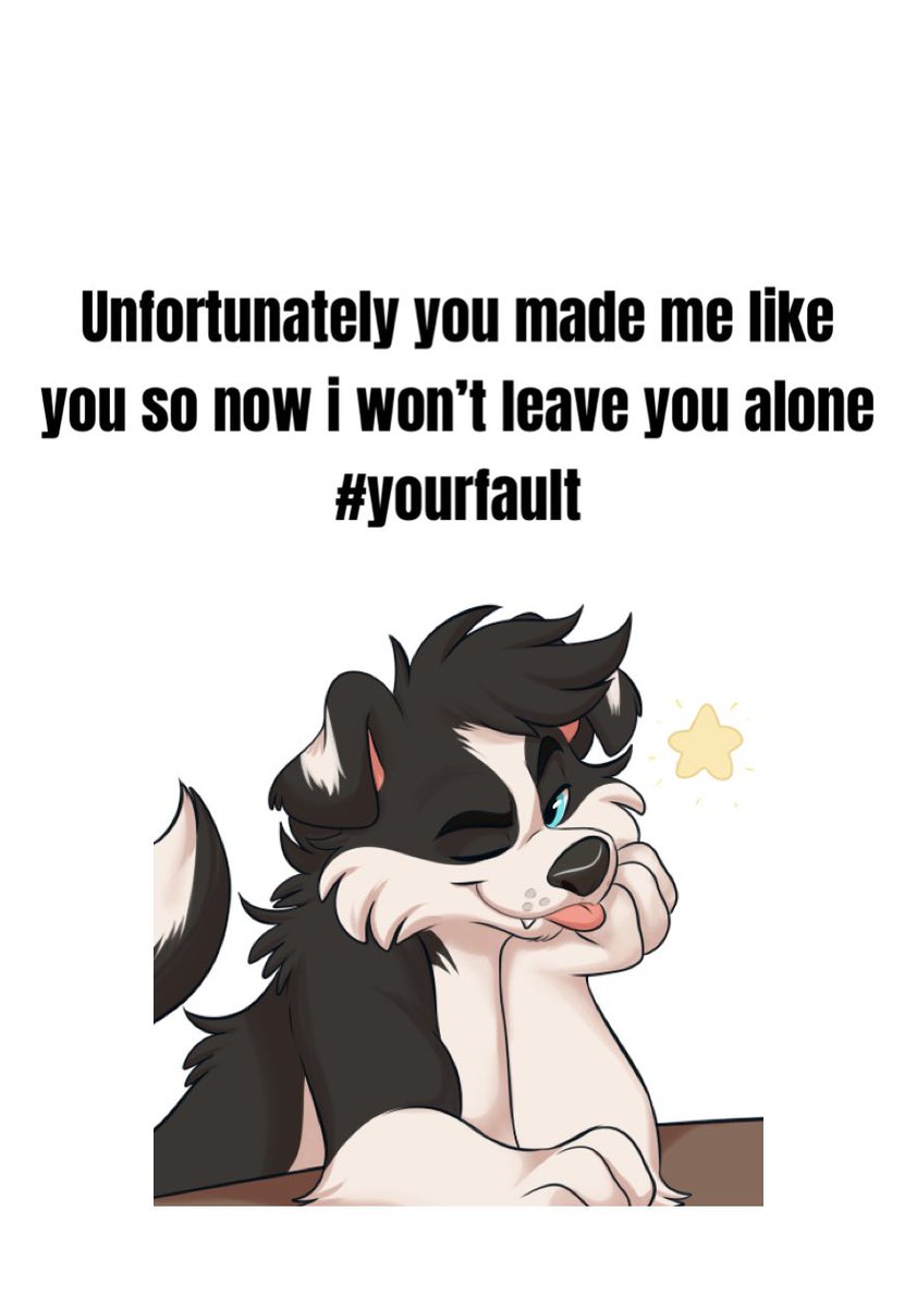 Dexter 🇦🇺 🔜 Furdu tweet media