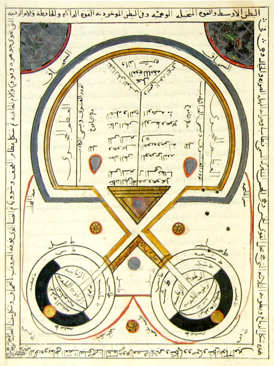 csmbr_pisa's tweet image. Islamic Medicine 24:
𝐎𝐩𝐭𝐢𝐜 𝐂𝐡𝐢𝐚𝐬𝐦𝐚 𝐚𝐧𝐝 𝐕𝐞𝐧𝐭𝐫𝐢𝐜𝐥𝐞𝐬 𝐨𝐟 𝐭𝐡𝐞 𝐁𝐫𝐚𝐢𝐧, 𝐓𝐮𝐫𝐤𝐞𝐲, 𝟏𝟐𝟕𝟓
from Al-Halabi, "Kitab al-Kāfī fi’l-Kuḥl, MS Yeni Cami 924, fol12a, Courtesy of Süleymaniye Manuscript Library., Istanbul.

#CSMBR #Optics #Brain #Ventricles