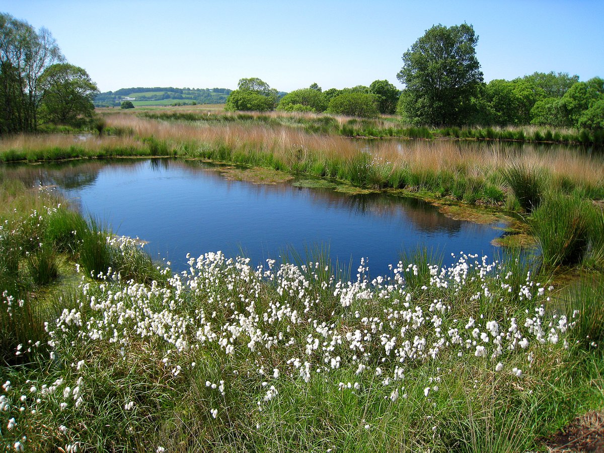 Wales Nature Week /Wythnos Natur Cymru tweet media