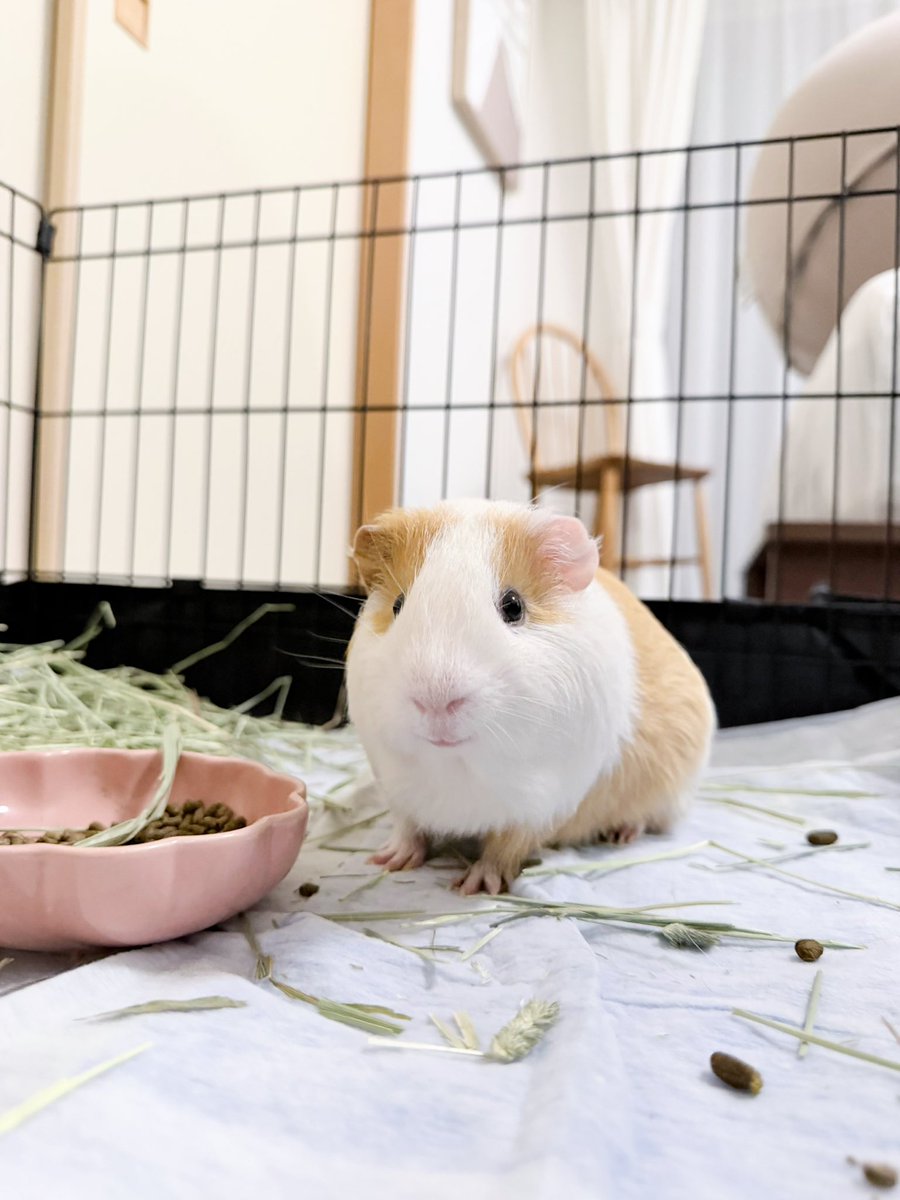 moriAmelie's tweet image. smile