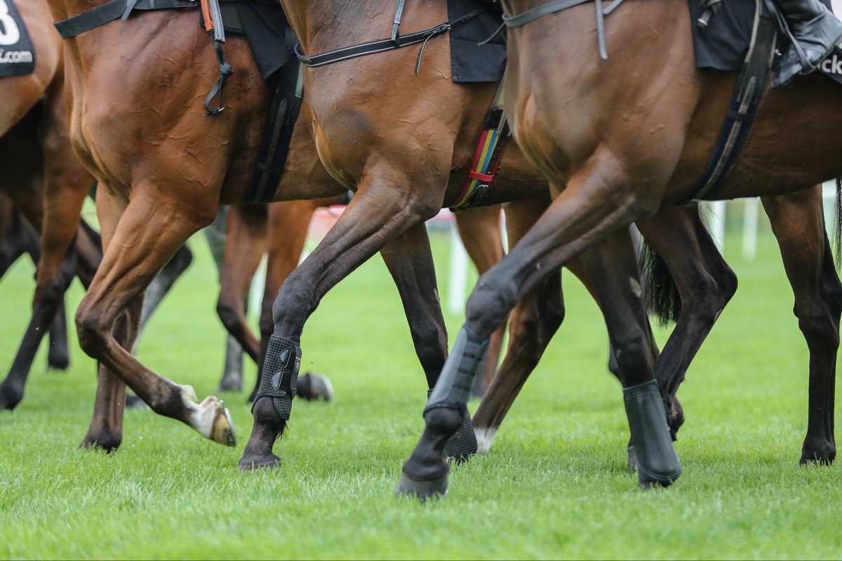 🗒️ Alternative Handicap 

As Staffordshire Knot is a non runner in Race 3 at <a href="/LeopardstownRC/">Leopardstown RC</a> today, the alternative handicap comes into effect for this race 

🔗 More info - ihrbalternativehandicap.lovable.app