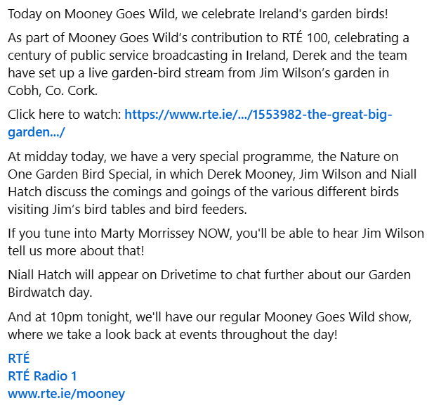 NatureRTE's tweet photo. Click here to watch our Great Big Garden Birdwatch and tune into @RTERadio1 now to listen to Jim Wilson tell @MartyMofficial about our day celebrating Ireland's birds! https://t.co/ENY53blnSS

@rte 
@mybroadcasts 
@BirdWatchIE https://t.co/ga4E3cYMXJ