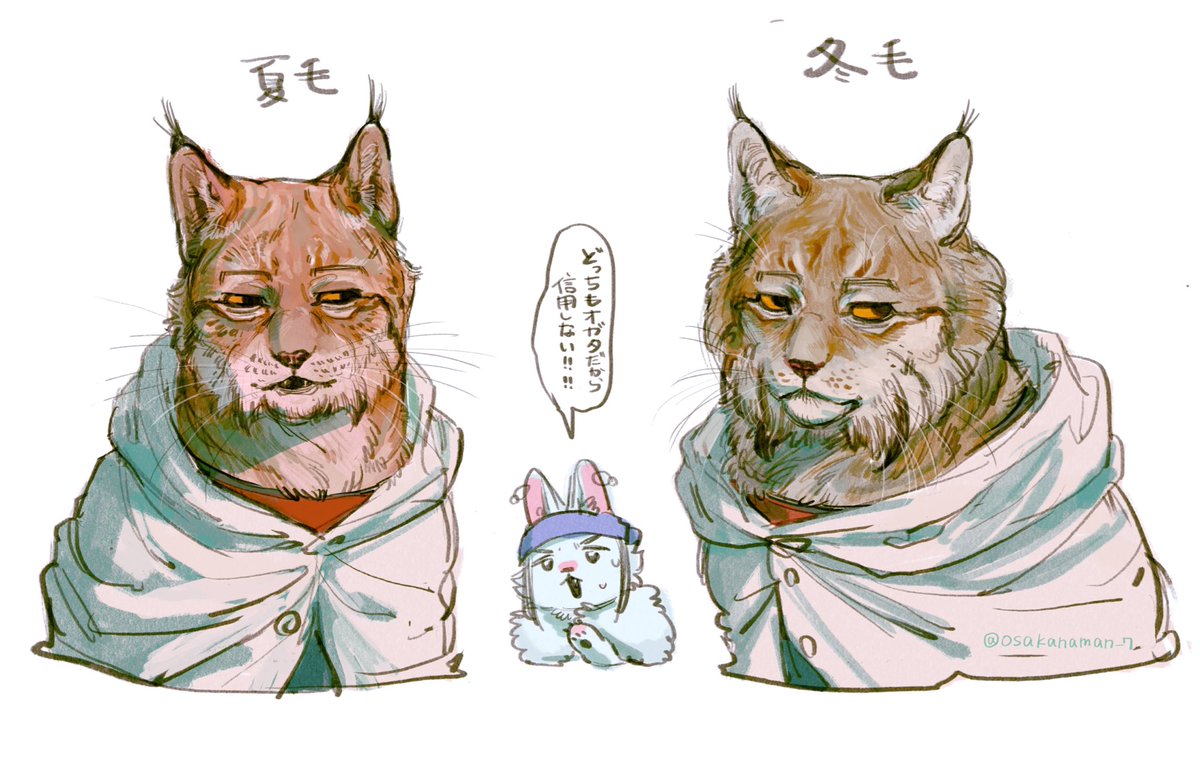 毛 