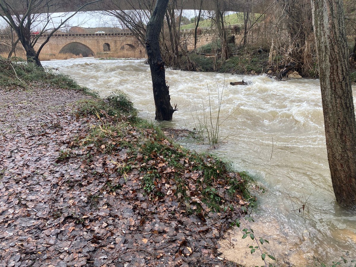 Importante crecida del río Henares a su paso por Guadalajara. La policía ya ha cortado accesos guadalajaradiario.es/provincia/6847…