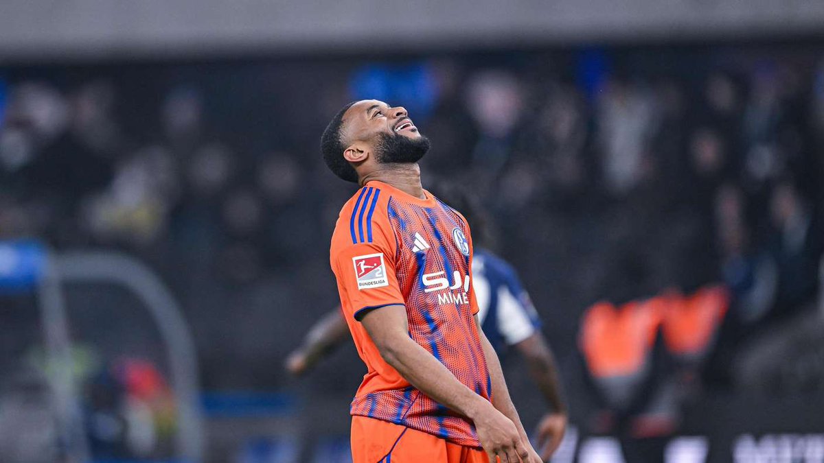 Schalke Daily tweet media