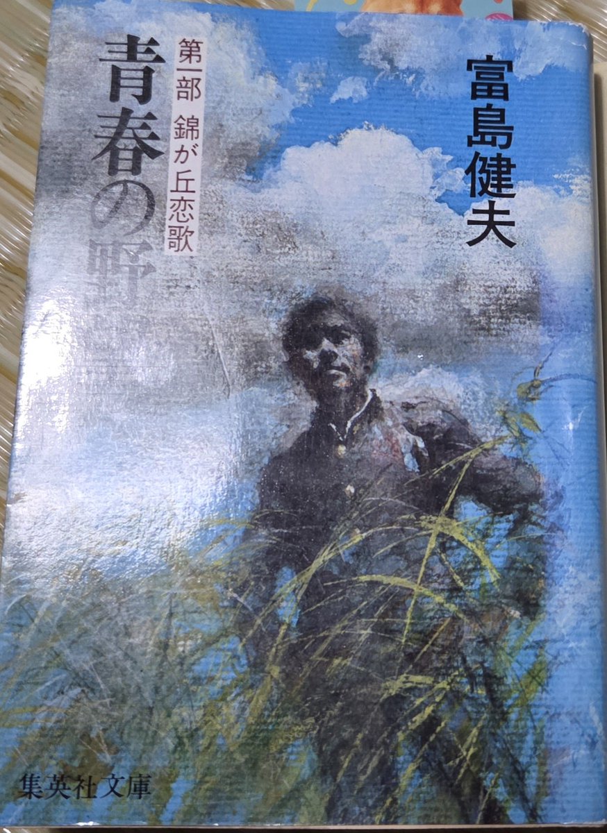 amazonのマーケットプレイスで高校生の頃に熟読していた文庫本を発見
