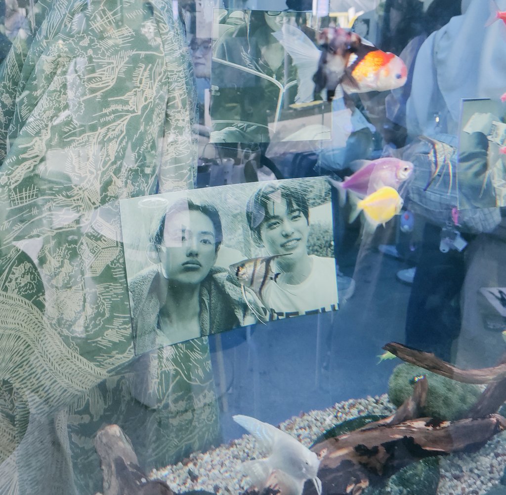 ۶ৎ raa tweet media