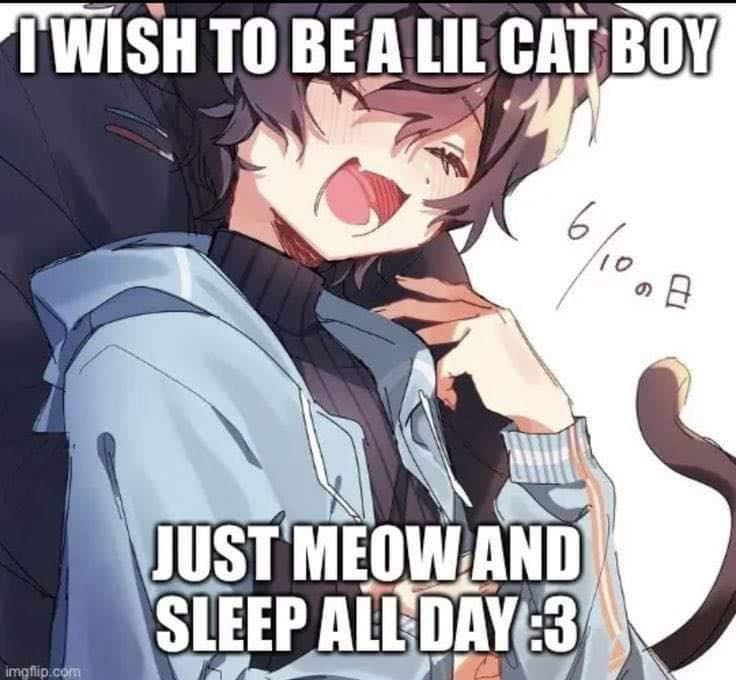 FemboyArtworks's tweet image. 