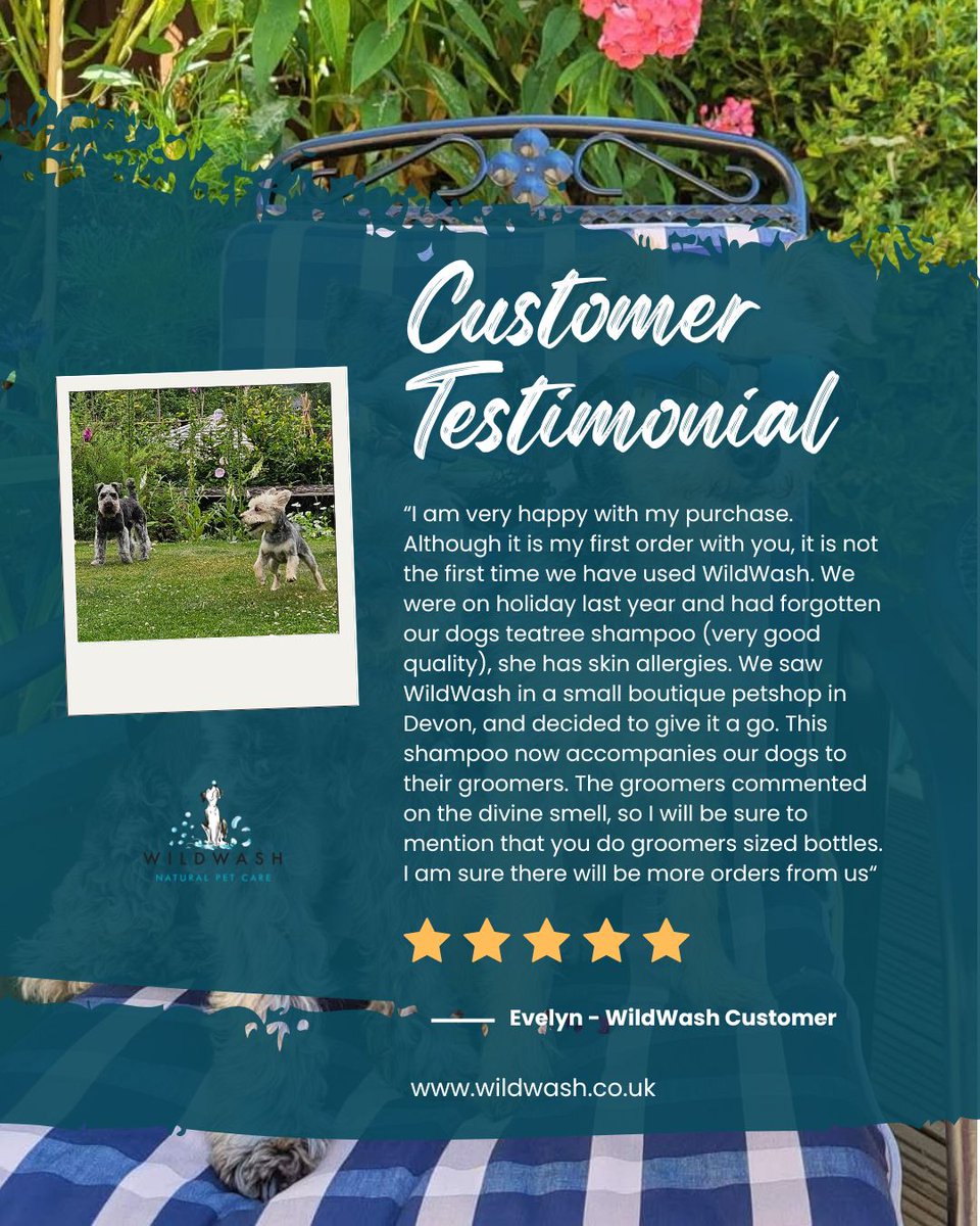 WildWash tweet media