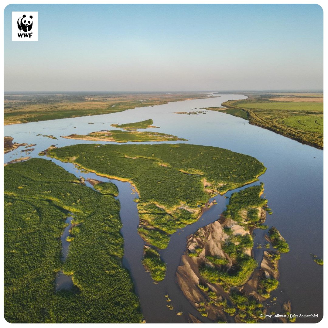 wwf_moz's tweet photo. Hoje, 2 de Fevereiro, celebramos o Dia Mundial das Terras Húmidas 2026. 🌍✨

Este ano, o tema é: “Terras Húmidas e Conhecimento Tradicional: Celebrando a Herança Cultural”.

Mais em https://t.co/KU5ps3S0z9

#DiaMundialDasTerrasHúmidas #WWD2026 #HerançaCultural https://t.co/N37hMdxwWC