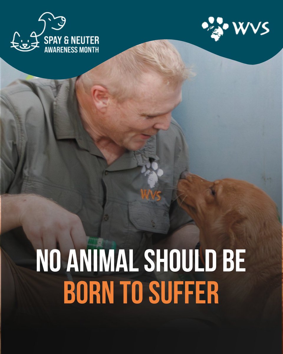 Luke Gamble tweet media