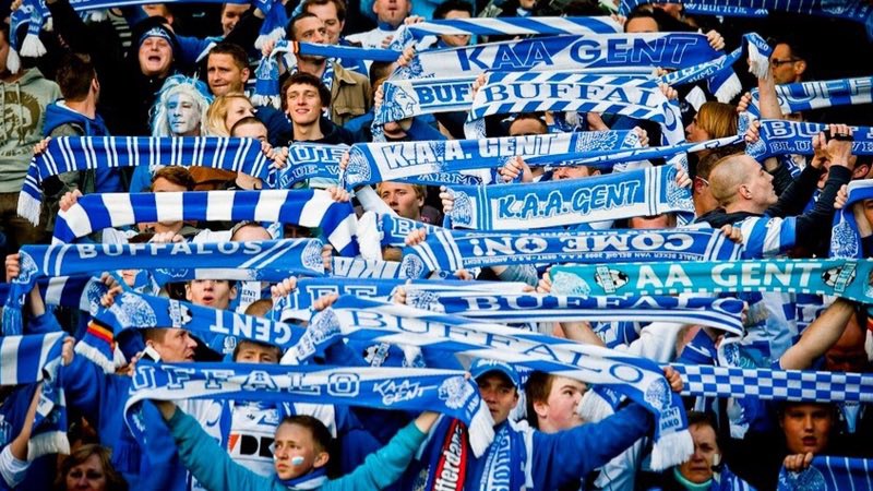 TRIBUNE7 tweet media