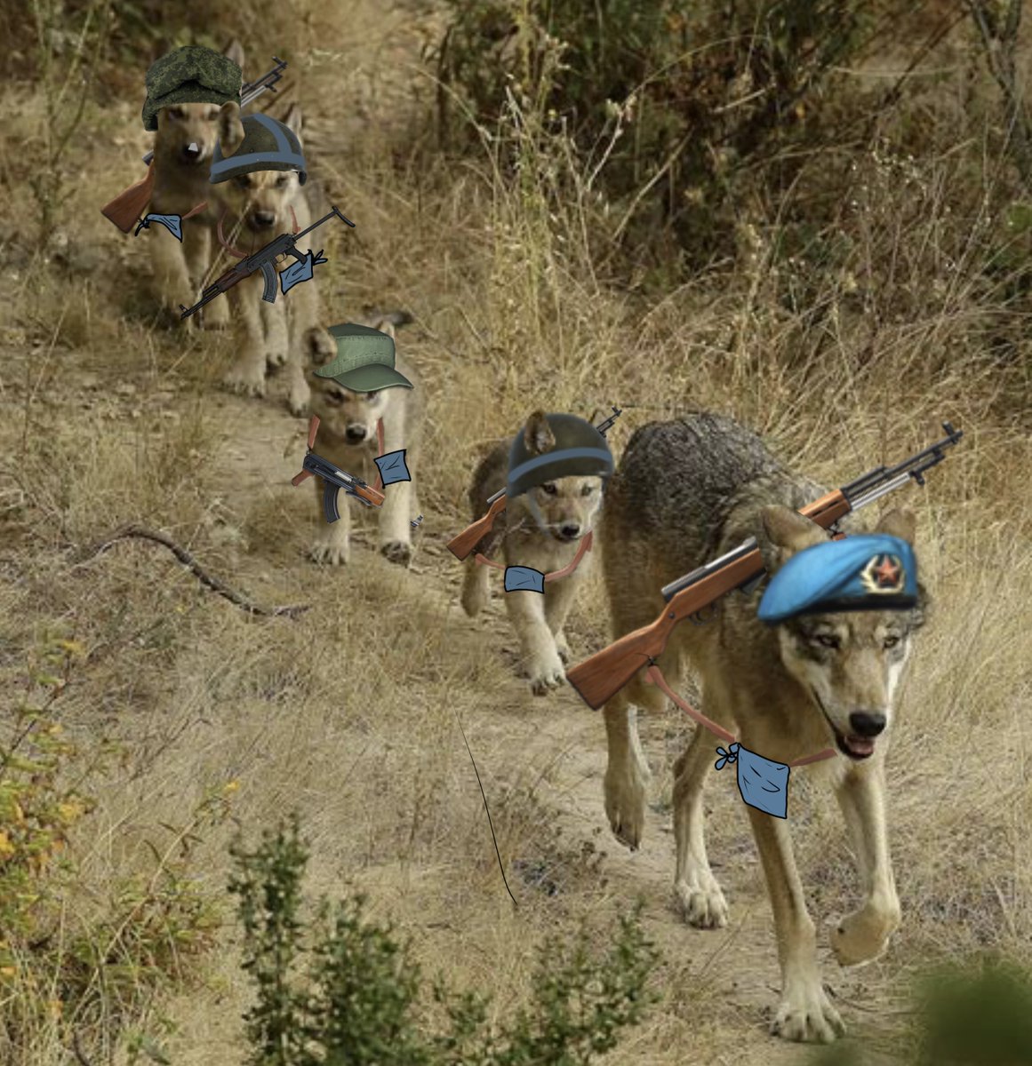 Jeffe73891152's tweet image. Movement in the scruff direction