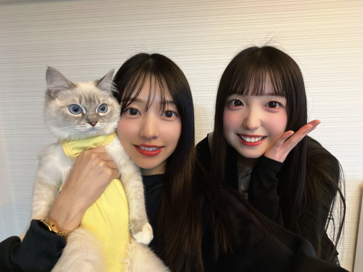 yuumi_takaki's tweet photo. デート相手は咲羽でした❤️
ﾄﾞﾗｲﾌﾞしたりご飯食べて平成ﾌﾟﾘしたり
お互いのお家行ったりで充実☺️ https://t.co/fKyXA4KAFz