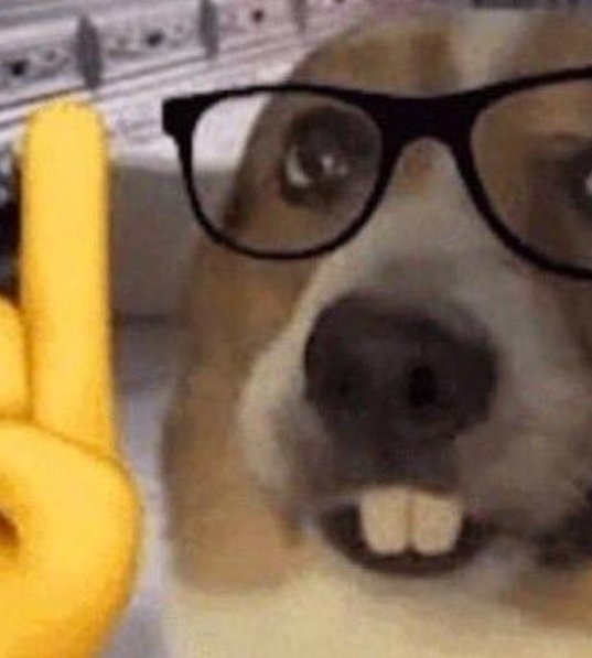 meanmasscomm's tweet image. 明るい手 ⛩️