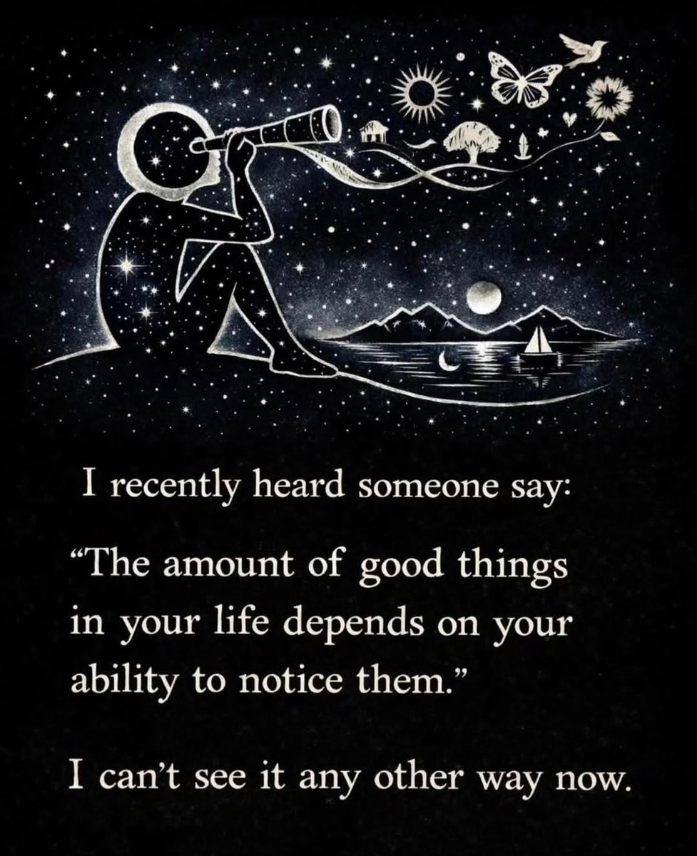 Noa Daniel, MEd tweet media