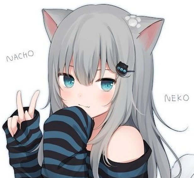 RonaldLPence's tweet image. 自分を信じる ✊