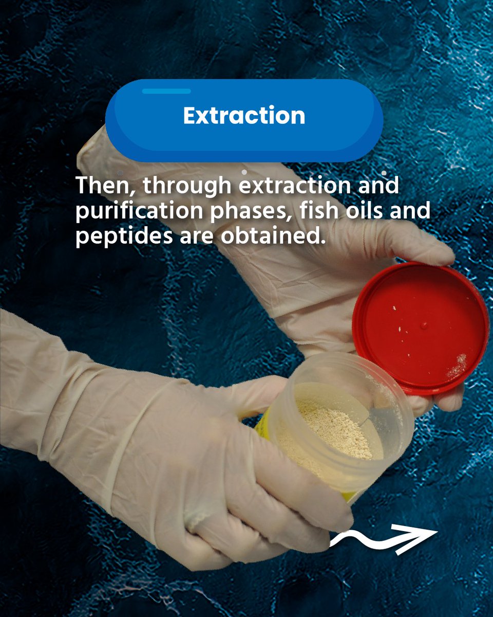 EcoeFISHent tweet media