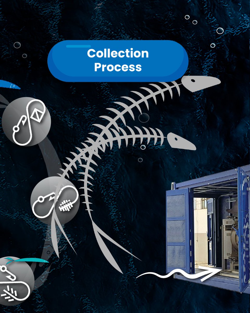 EcoeFISHent tweet media