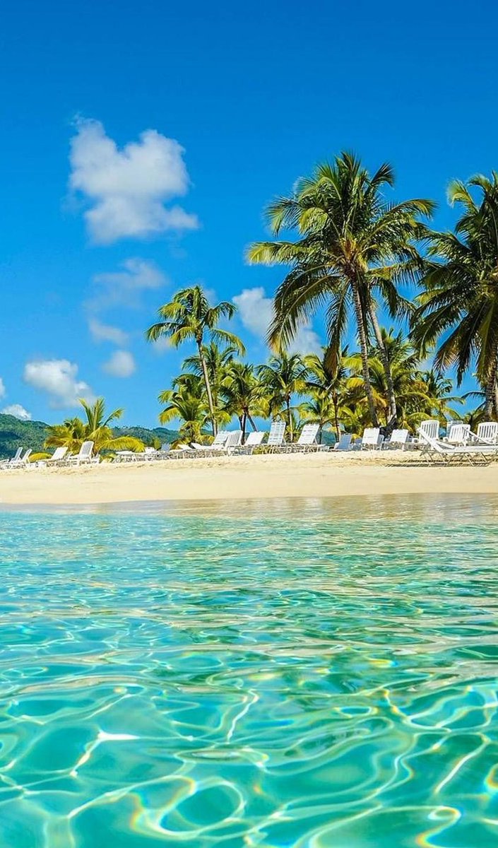 webmaster_roach's tweet image. そばを選ぶ、美味しい！ 🍅