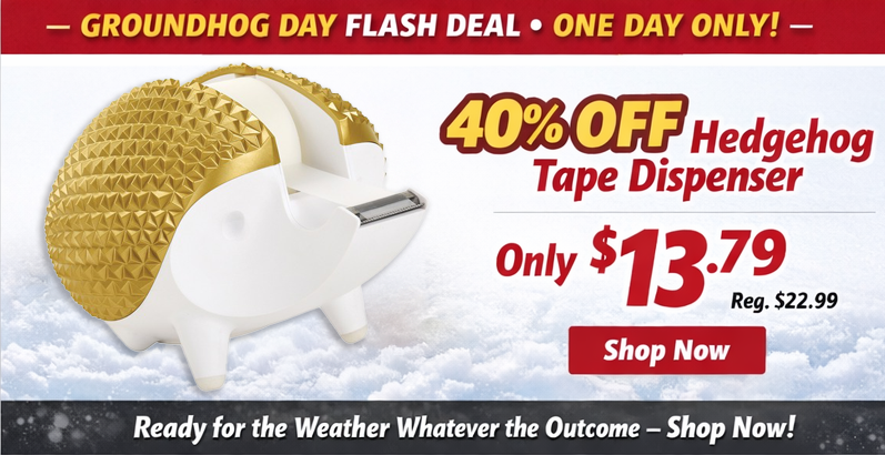 BrantBasics tweet media