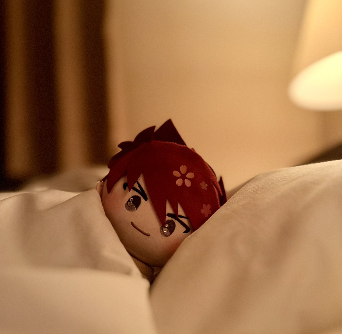 むみむ🌙🐾🐯🍀💎 (@mu373min2) / Posts / X