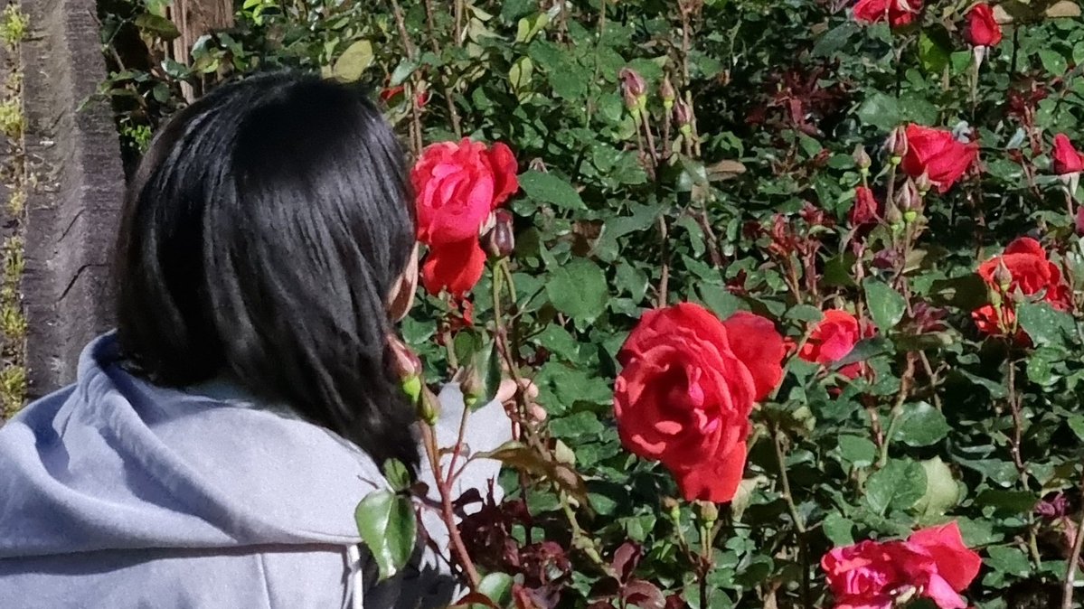 note465450's tweet image. 나의 녹색은 여름