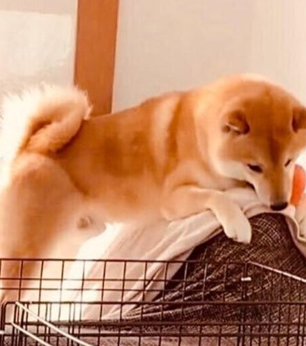 tic2toc's tweet image. 時々写真を練習する 👈