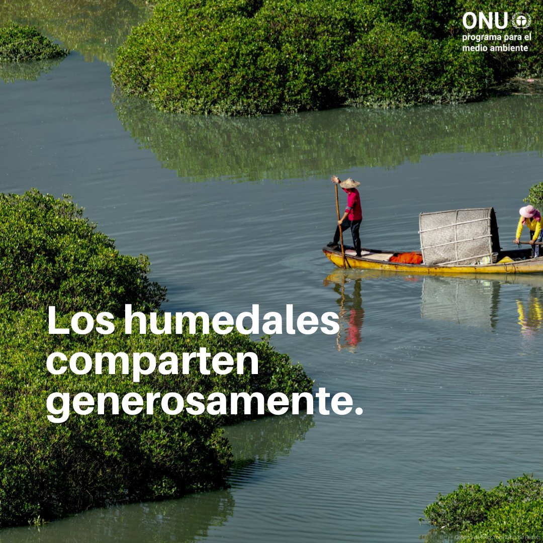 Programa ONU Medio Ambiente tweet media