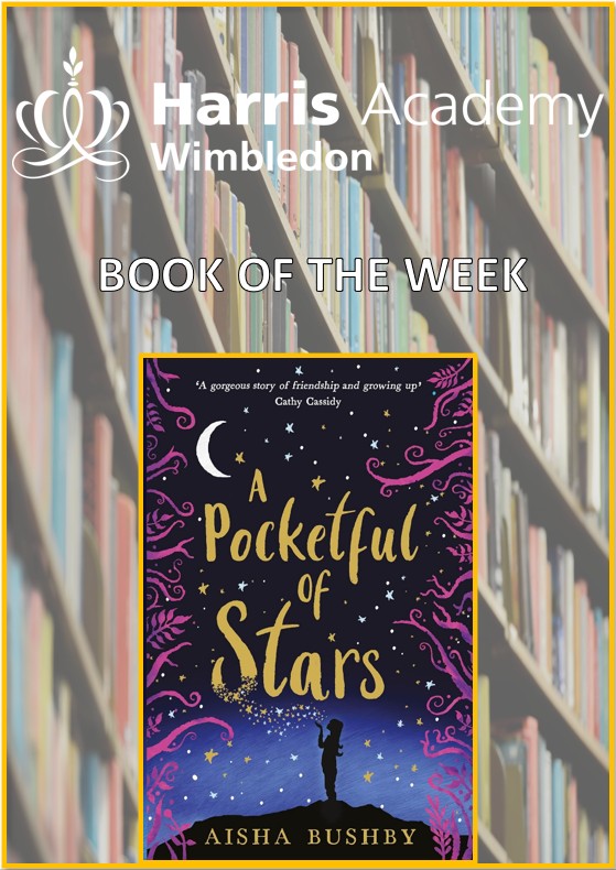 HawiLibrary's tweet photo. The Book of the week is A Pocketful of Stars, by Aisha Bushby. A gorgeous, moving and poignant story. Borrow this book from the library! https://t.co/PjZpDU9VP8