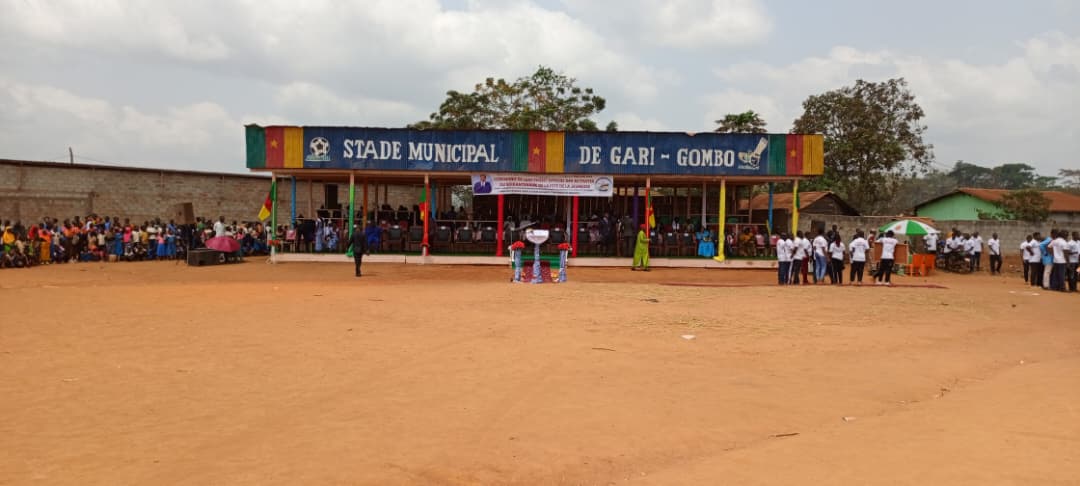 Minjec 237 tweet media