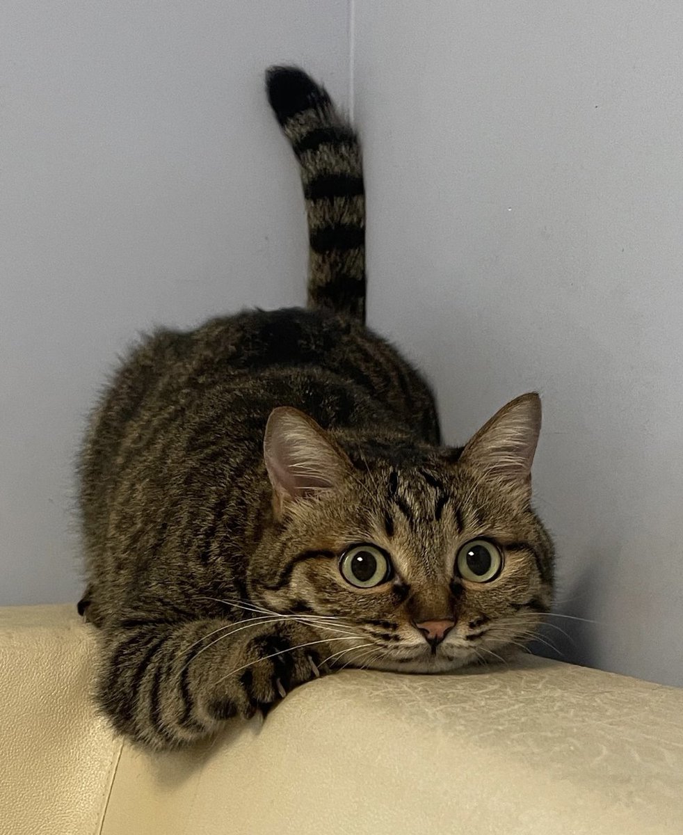 He listens very carefully