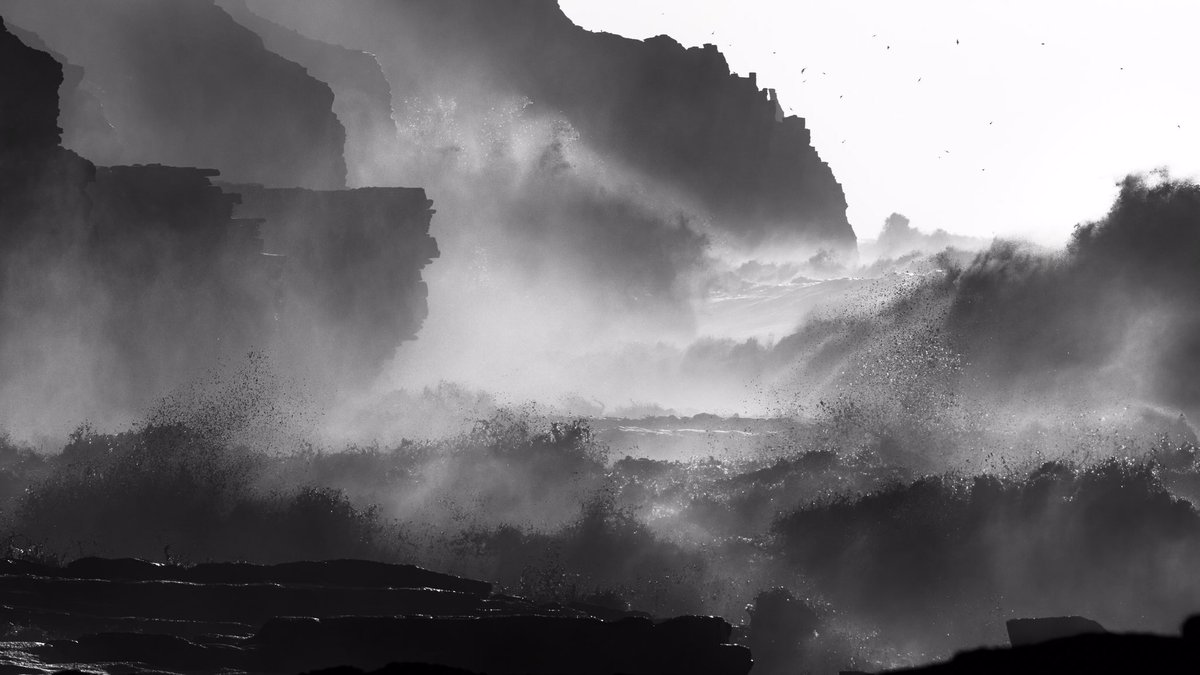 Elaine Farrell Photography tweet media