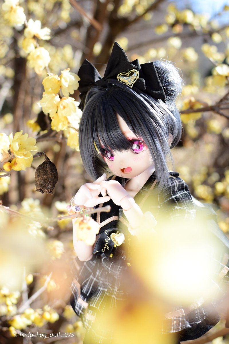 panna🍄🤍 (@ph72182887) / Posts / X