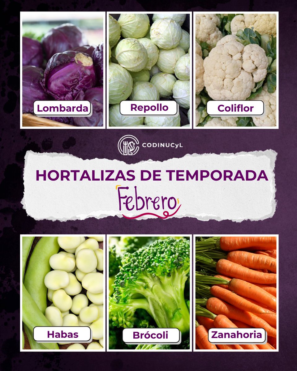 CODINUCyL's tweet photo. ❄️ 🍋🥦 Durante el invierno, nuestra huerta sigue ofreciéndonos #frutas y #hortalizas de temporada que nos ayudan a cuidar nuestra salud en estos meses. En esta época es especialmente importante reforzar nuestras defensas y mantener hábitos alimentarios saludables. https://t.co/1QmlhPawXD