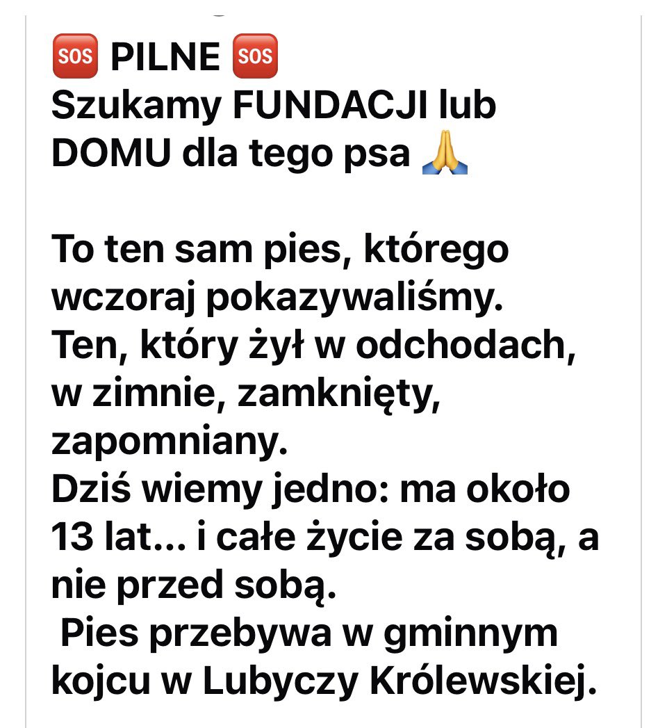 🆘 PILNE 🆘
Szukamy FUNDACJI lub DOMU dla tego psa - żył w odchodach, w zimnie, zamknięty, zapomniany.
Dziś wiemy jedno: ma około 13 lat… i całe życie za sobą, a nie przed sobą.
Pies przebywa w gminnym kojcu w Lubyczy Królewskiej. 
To starszy, spokojny pies.Nie potrzebuje cudów.