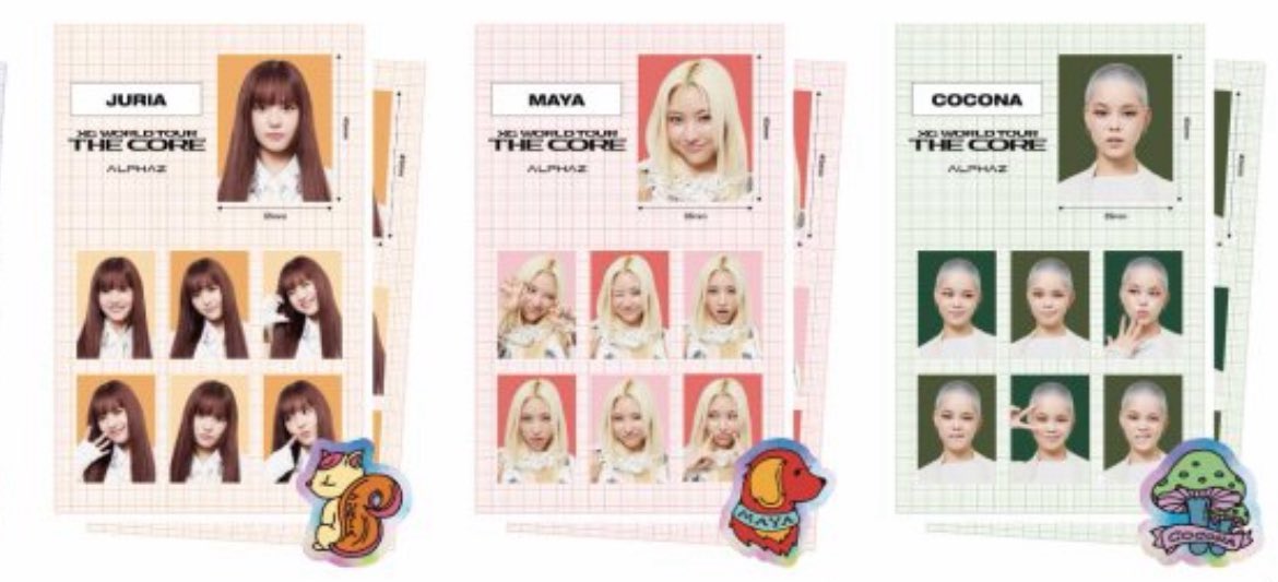 オタクが待ち望んだタイプの証明写真が実装されるだと、、、？！ どれ