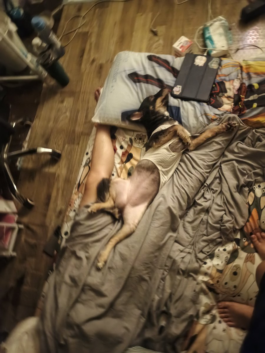 riobluestar 🇵🇭 comms OPEN tweet media